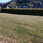 Wilmes Daire *