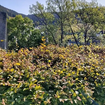 Apartamento Wilmes Winterberg