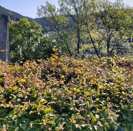 Apartment Wilmes Winterberg