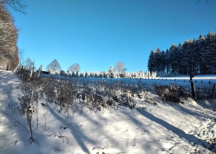 Apartment Wilmes Winterberg